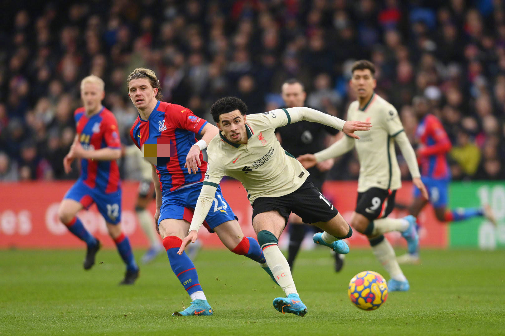 回归奠定基 回归奠定基